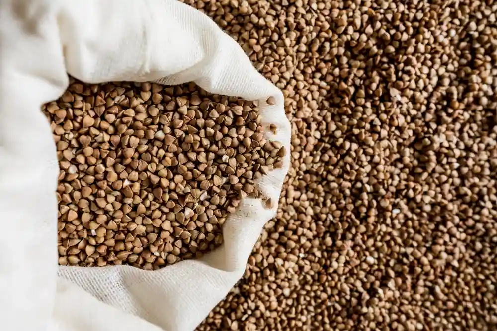 Controle de Pragas de Grãos Armazenados em Natal