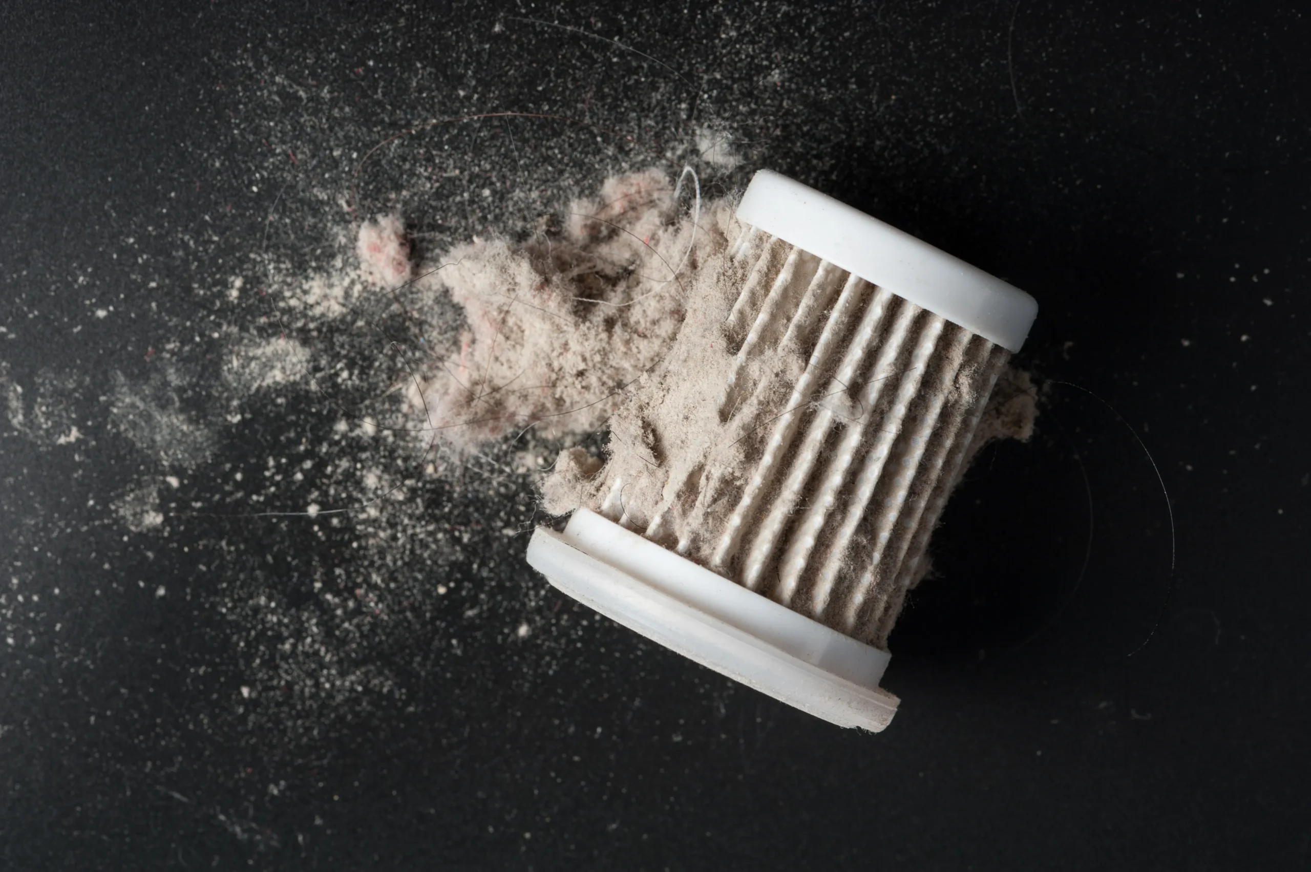 Ácaros | Ciclo de Vida e Biologia do Ácaro | Asma, rinite e alergias